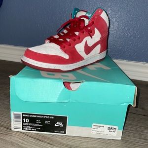 RARE Nike High Dunk Hi Pro SB (Mens US 10)